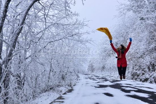 贵州83县市迎降雪 积雪最深24厘米--贵州新闻