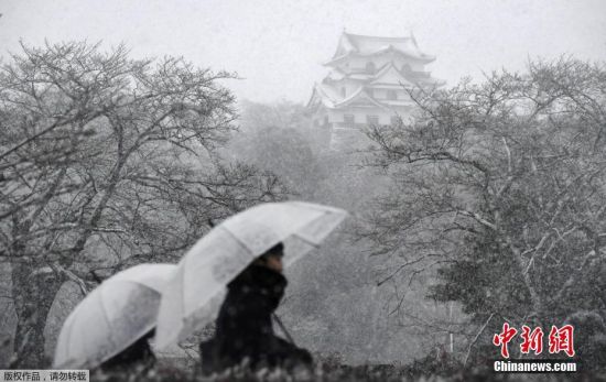 日本多地持续大雪 气温降至入冬最低--贵州新闻