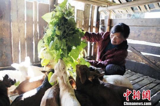 贵州农业供给侧结构性改革再探索 产业化推动