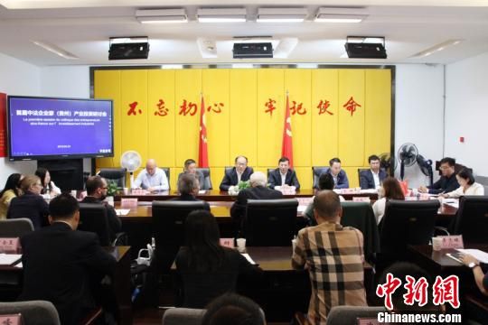 首届中法企业家(贵州)产业投资研讨会现场。宁南 摄